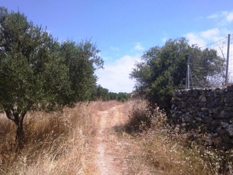 Kefalas Chania Grundstück mit Meerblick in traditionellem Dorf auf Kreta Grundstück kaufen